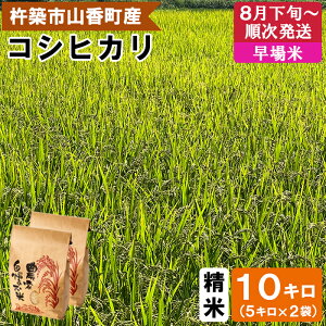 yӂ邳Ɣ[Łzy ߘa7NY V zR䂤̉̕ 10kgiāFRVqJj V 10kg   8 9 002-022