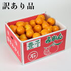 【ふるさと納税】【訳あり・規格外品】野菜ソムリエ石児さんの「温州みかん10kg」先行予約果物フルーツ傷不揃い＜05-A0082＞ 