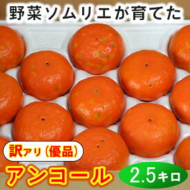 【ふるさと納税】【訳あり・優品】野菜ソムリエ石児さんの「アンコール 約2.5kg」 先行予約 3月 4月 果物 フルーツ 傷 規格外 不揃い＜103-018_5＞