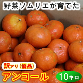 【ふるさと納税】【訳あり・優品】野菜ソムリエ石児さんの「アンコール 約10kg」 先行予約 3月 4月 果物 フルーツ 傷 規格外 不揃い＜103-020_5＞