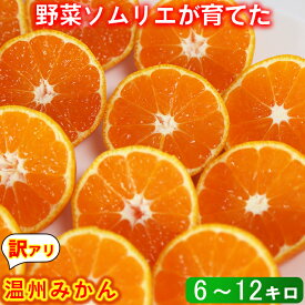 【ふるさと納税】 【訳あり品】温州みかん 6kg〜12kg 訳あり 期間限定 数量限定 ミカン みかん 蜜柑 サイズ不揃い 傷 規格外 フルーツ 果物 野菜ソムリエ石児さん 1月 1月発送 1月配送 ＜103-704＞