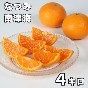 yӂ邳Ɣ[ŁzÊC[Ȃ] 4kg ^ ~J ݂  k ÊC 4kg s\ t[c 132-009