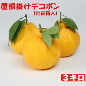 yӂ邳Ɣ[Łz|fR| 3kgiϔj ^ ~J ݂  k fR| sm 3kg | s\ t[c 132-006