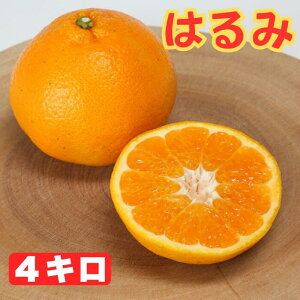 yӂ邳Ɣ[Łz͂ ol 4kg ^ ~J ݂  k ͂ 4kg s\ t[c 132-008