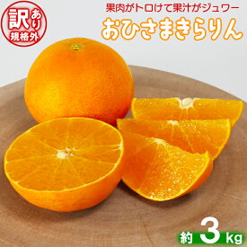 【ふるさと納税】【訳あり・規格外品】今村農園のおひさまきらりん 約3kg 先行予約 果物 フルーツ 傷 不揃い＜107-017_7＞