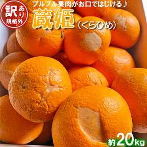 yӂ邳Ɣ[Łzy󂠂EKiOiz_̑PЂ߁igÉāj 10`20kg s\ ʕ t[c  s107-706