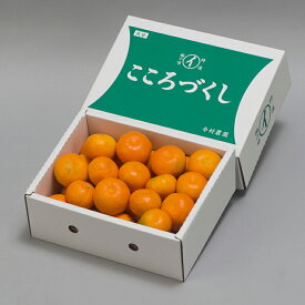 楽天市場 ふるさと納税 訳あり みかん フルーツ 果物 食品の通販 楽天市場 ふるさと納税 訳あり みかん フルーツ 果物 食品の通販