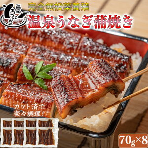 yӂ邳Ɣ[ŁzS{BI啪Ỷ򂤂ȂāiJbgj70g×2`8pbN Y V V  Hׂ Ⓚ ^ X^~i ` Iׂ 140g 210g 280g 560g hV̓ 104-701_5