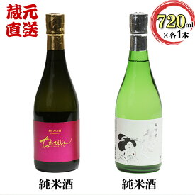 【ふるさと納税】ちえびじん純米酒+智恵美人純米酒 飲み比べセット【中野酒造】 日本酒 人気 ギフト 贈答 ＜110-017_5＞