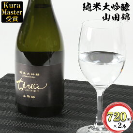 【ふるさと納税】ちえびじん純米大吟醸山田錦 720ml×2本セット【中野酒造】 日本酒 人気 ギフト 贈答 ＜110-005_5＞