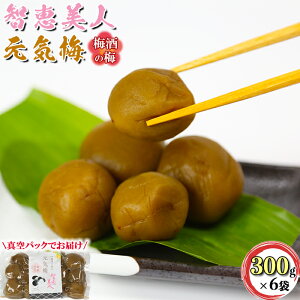 �y�ӂ邳�Ɣ[�Łz �q�b���l ���C�~ �i�~���̔~�j 300g×6�܃Z�b�g�y����𑢁z �~�� ������ �M�t�g ���� ��110-024_6��