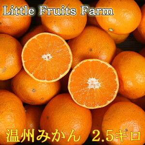 yӂ邳Ɣ[Łzy󂠂izgt[ct@[̉B݂ 2.5kg 󂠂 ݂ k s\ 2.5kg B݂ t[c ʕ 116-021