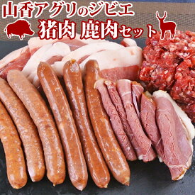 【ふるさと納税】 山香アグリのジビエ盛りもりAセット（猪スライス・ミンチ・ハム・ウインナー、鹿ウインナー）＜145-005＞