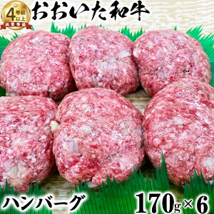yӂ邳Ɣ[Łza no[Oi170g×6jyj[hqz y јa L㋍   lC Ⓚ 129-002_5