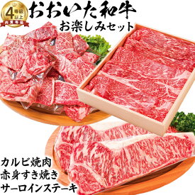 【ふるさと納税】 おおいた和牛 お楽しみセット（カルビ焼肉・赤身すき焼き・サーロインステーキ）【ニード牧場】 お楽しみ 黒毛和牛 豊後牛 牛肉 お肉 赤身 霜降り すきやき ステーキ しゃぶしゃぶ 焼き肉 カルビ サーロイン ＜129-015_5＞