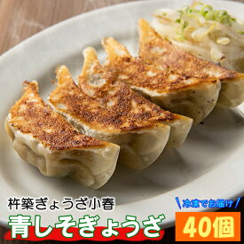 【ふるさと納税】杵築ぎょうざ小春の青しそぎょうざ 40個 冷凍 餃子 人気 国産 ぎょうざ ギョーザ ＜152-002_5＞