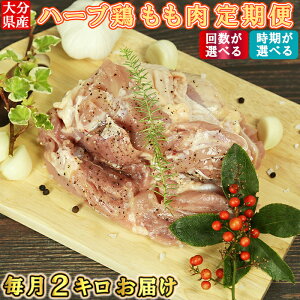 yӂ邳Ɣ[Łz啪Y n[u{  2kg ցy񐔂IׂIz3`12yIׂIz  { ① Y  3 6 12 3 6 12 153-701