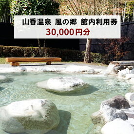【ふるさと納税】 山香温泉 風の郷 館内利用券（30,000円分）＜158-020＞