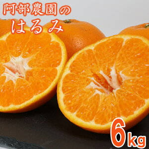 yӂ邳Ɣ[Łzy󂠂iz_́u͂ 6kgv ^ ~J ݂  k ͂ s\ 2 󂠂 ʌ t[c 112-008