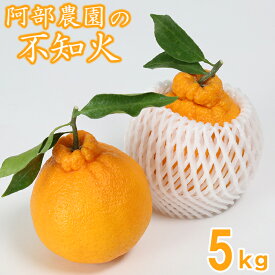 【ふるさと納税】 阿部農園の「ハウス葉付き不知火 約5kg」 みかん 柑橘類 不知火 数量限定 5kg フルーツ ＜112-007＞