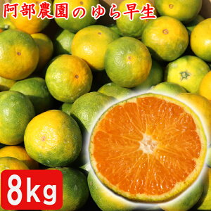 yӂ邳Ɣ[Łzy󂠂iz_́u瑁 8kgv ^ ~J ݂  k 󂠂 10 B݂  lC ɑ ʌ t[c 112-020