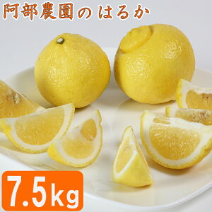 yӂ邳Ɣ[Łzy󂠂iz_́u͂邩 7.5kgv ݂ k ͂邩 s\ 3 󂠂 ʌ t[c F݂ 112-010