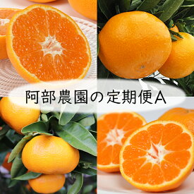 楽天市場 ふるさと納税 定期便 フルーツ 果物 食品 の通販