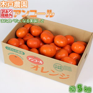 yӂ邳Ɣ[Łzy󂠂EKiOiz،˔_̃AR[ 2.5`5kg s\ ʕ t[c  s113-702_6