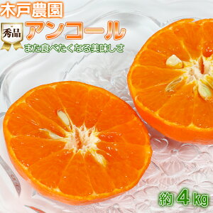 yӂ邳Ɣ[Łz،˔_̃AR[ 4kgiGij s\ ʕ t[c 113-003_5