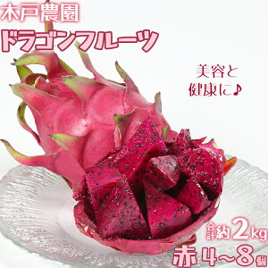 yӂ邳Ɣ[Łz،˔_̃hSt[c v2kg i4~8j s\ ʕ 썑 t[c s^ e N h{ JE |tFm[ R_ 113-007