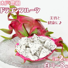 【ふるさと納税】木戸農園のドラゴンフルーツ 計約2kg（白4~8個） 先行予約 果物 南国 フルーツ ピタヤ 美容 健康 栄養 カリウム ＜113-008＞