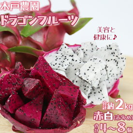 【ふるさと納税】木戸農園のドラゴンフルーツ 計約2kg（赤白 合計4~8個 赤多め） 先行予約 果物 南国 フルーツ ピタヤ 美容 健康 栄養 カリウム ポリフェノール 抗酸化 ＜113-009＞