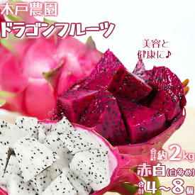 【ふるさと納税】木戸農園のドラゴンフルーツ 計約2kg（赤白 合計4~8個 白多め） 計約2kg 先行予約 果物 南国 フルーツ ピタヤ 美容 健康 栄養 カリウム ポリフェノール 抗酸化 ＜113-010＞