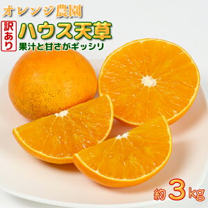 yӂ邳Ɣ[Łzy󂠂EKiOizB̃IWunEXVv3`3.3kg s\ ʕ t[c  KiO s114-003_5