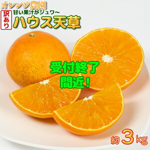 yӂ邳Ɣ[Łz yNz y󂠂EKiOizB̃IWunEXVv3`3.3kg s\ ʕ t[c  KiO s 10000~ N 114-003_5