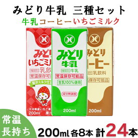 【ふるさと納税】 みどり牛乳・みどりコーヒー・みどりいちごミルク LL3種セット ／ 牛乳 コーヒー いちごミルク 乳飲料 乳製品 ロングライフ商品 長期保存 常温 常温保存 セット ＜108-045＞