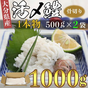 yӂ邳Ɣ[Łz啪Yi͂j1{ ؂ؐg Ղ 1000g  VՂ Ԃ   CN 108-006_5