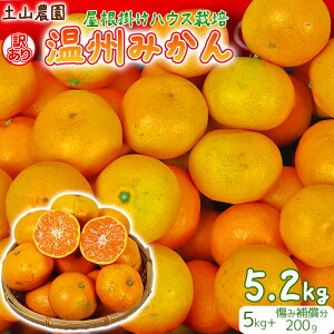 yӂ邳Ɣ[Łz y1221ϕ܂ŔN zy󂠂zyR_̉B݂ |nEX͔| 5kg{ݕ⏞200g ƒp i{쑁ƋÑ̍js\ k t[c