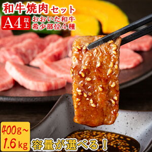 yӂ邳Ɣ[Łza󏭕4ēHה׃Zbg[q]yeʂIׂIz400g`1.6kg  ē  ēp a  Y Ԑg Hה a o[xL[ 102-