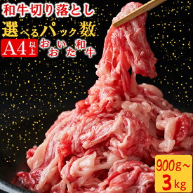 【ふるさと納税】 おおいた和牛切り落とし[匠牧場]【パック数が選べる！】900g〜3kg（3パック〜10パック）※真空パック 牛肉 切り落とし すき焼き 牛 小分け 和牛 国産 おおいた和牛 ＜102-701＞