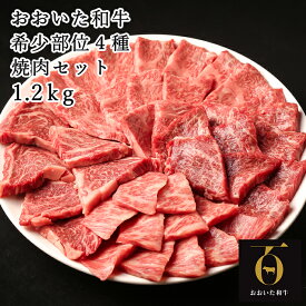 【ふるさと納税】希少部位4種焼肉セット1.2kg（800g・400g各1箱）【匠牧場】 焼肉 和牛 国産 赤身 牛肉 おおいた和牛 ＜102-013_5＞