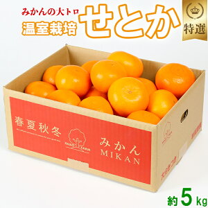 【ふるさと納税】岩尾農園の温室栽培せとか 特選 約1.5〜5kg 先行予約 果物 フルーツ<066-701_6>