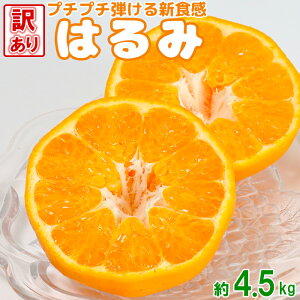 yӂ邳Ɣ[Łzy󂠂iz_̂͂ 4.5kg s\ ʕ t[c  KiO s066-006_5