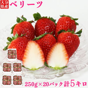【ふるさと納税】大分県産 ベリーツ 約5kg(約250g×20パック)/ いちご 5kg 先行予約 1月 2月 甘い フルーツ 苺 スイーツ <133-002>