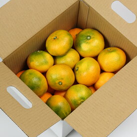 楽天市場 ふるさと納税 訳あり みかん フルーツ 果物 食品の通販 楽天市場 ふるさと納税 訳あり みかん フルーツ 果物 食品の通販