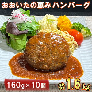 yӂ邳Ɣ[Łžb݃no[O1.6kg[160g×10] no[O Ⓚ W 啪̌b݃no[O no[O Y lC  Ⓚ ؓ  130-001_5