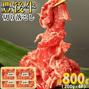 yӂ邳Ɣ[ŁzL㋍؂藎Ƃ v800gi200g×4pj123-005_5