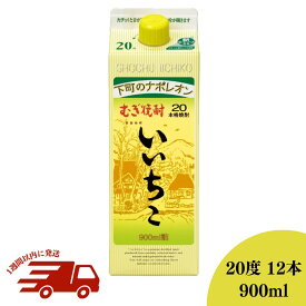 【ふるさと納税】いいちこ 20度 パック(計10.8L・900ml×12本)酒 お酒 むぎ焼酎 1800ml 麦焼酎 常温 いいちこ 三和酒類 紙パック【107304000】【時枝酒店】