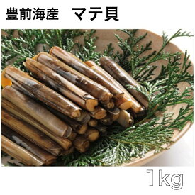 楽天市場 マテ貝 食品 の通販 楽天市場 マテ貝 食品 の通販