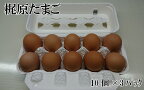 梶原たまご30ヶ入り タマゴ 30個 卵 鶏卵 鶏 産地直送 国産 九州産 冷蔵 送料無料【A459】